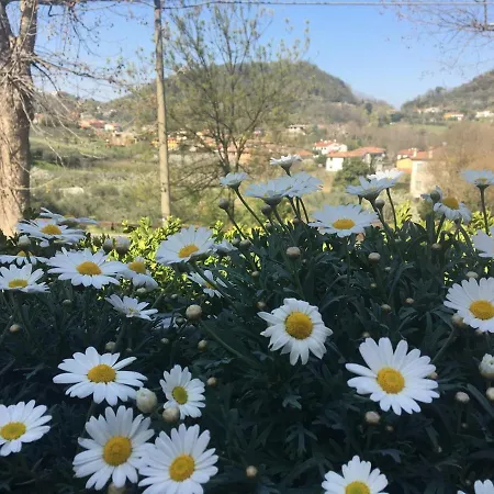 Belvedere Ai Colli Galzignano Terme