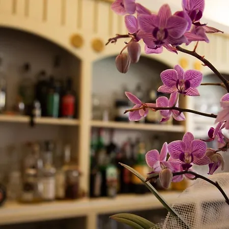 Hotel Belvedere Ai Colli 3*