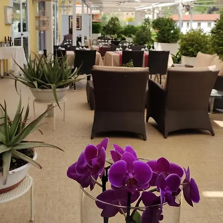 Hotel Belvedere Ai Colli Galzignano Terme