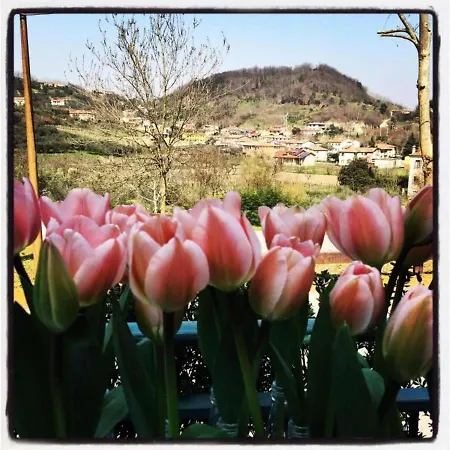 Belvedere Ai Colli Hotel